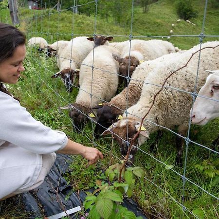 La Vieille Ferme ; l'Écogîte un loft campagnard Saint-Fulgence Esterno foto