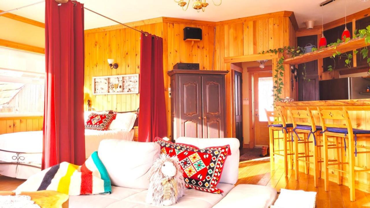 La Vieille Ferme ; l'Écogîte un loft campagnard Saint-Fulgence Esterno foto