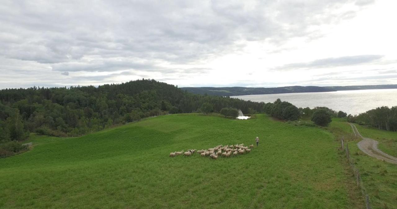 La Vieille Ferme ; l'Écogîte un loft campagnard Saint-Fulgence Esterno foto