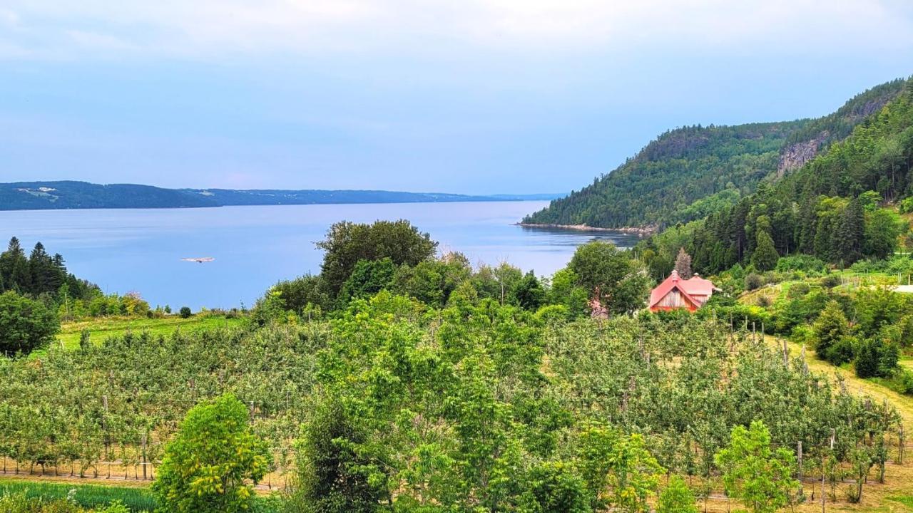 La Vieille Ferme ; l'Écogîte un loft campagnard Saint-Fulgence Esterno foto
