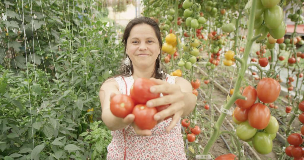 La Vieille Ferme ; l'Écogîte un loft campagnard Saint-Fulgence Esterno foto