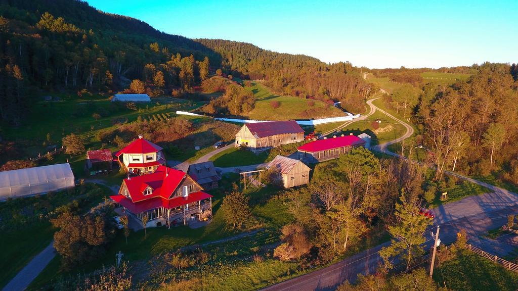 La Vieille Ferme ; l'Écogîte un loft campagnard Saint-Fulgence Esterno foto